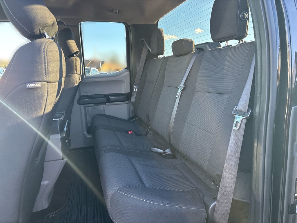 Ford F-150 SXT | Cam | PwrSeat | Cruise | AC | Aux | USB 2017 à Saint John, Nouveau-Brunswick - 30 - w1024h768px