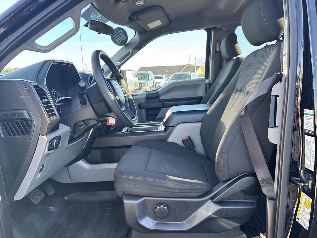 Ford F-150 SXT | Cam | PwrSeat | Cruise | AC | Aux | USB 2017 à Saint John, Nouveau-Brunswick - 13 - w1024h768px