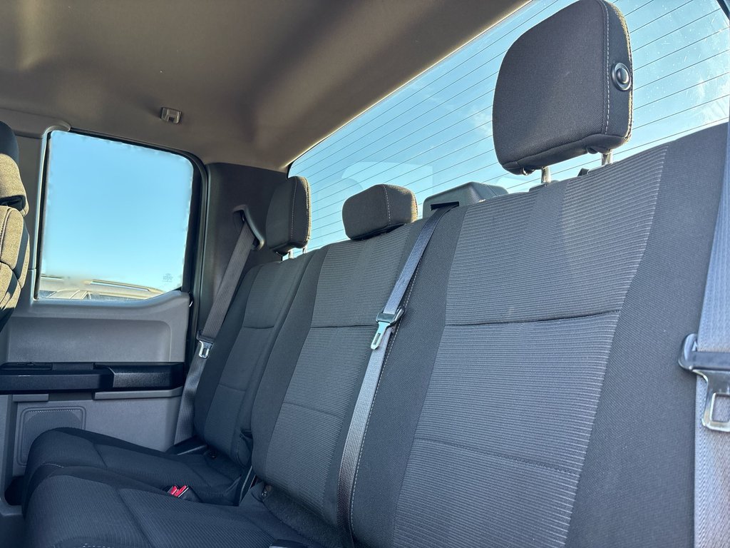 Ford F-150 SXT | Cam | PwrSeat | Cruise | AC | Aux | USB 2017 à Saint John, Nouveau-Brunswick - 31 - w1024h768px