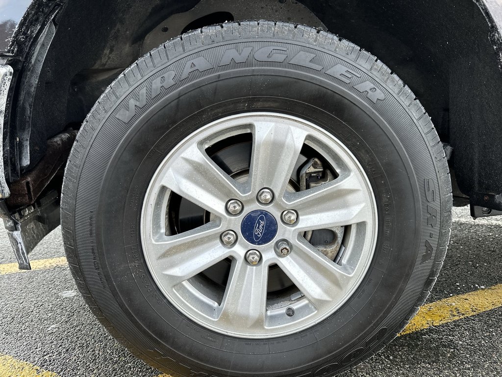 Ford F-150 XLT | Cam | Cruise | Aux | USB | AC 2018 à Saint John, Nouveau-Brunswick - 10 - w1024h768px