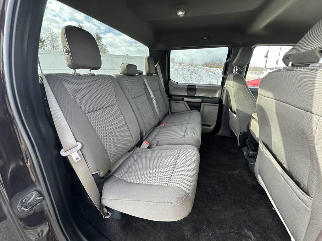 Ford F-150 XLT | Cam | Cruise | Aux | USB | AC 2018 à Saint John, Nouveau-Brunswick - 39 - w1024h768px