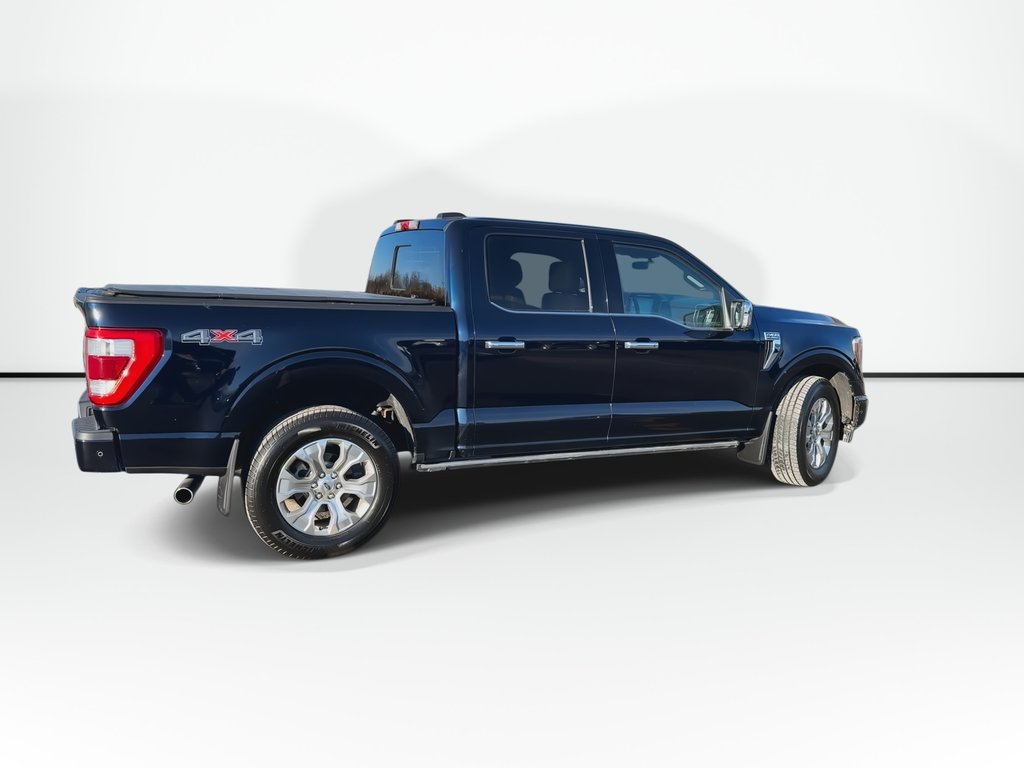 2022 Ford F-150 Platinum | Roof | Lthr | Cam | Warranty to 2027 in Saint John, New Brunswick - 7 - w1024h768px