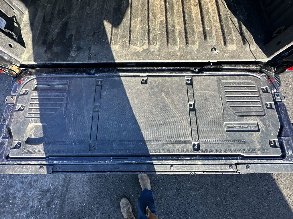 2022 Ford F-150 Platinum | Roof | Lthr | Cam | Warranty to 2027 in Saint John, New Brunswick - 37 - w1024h768px