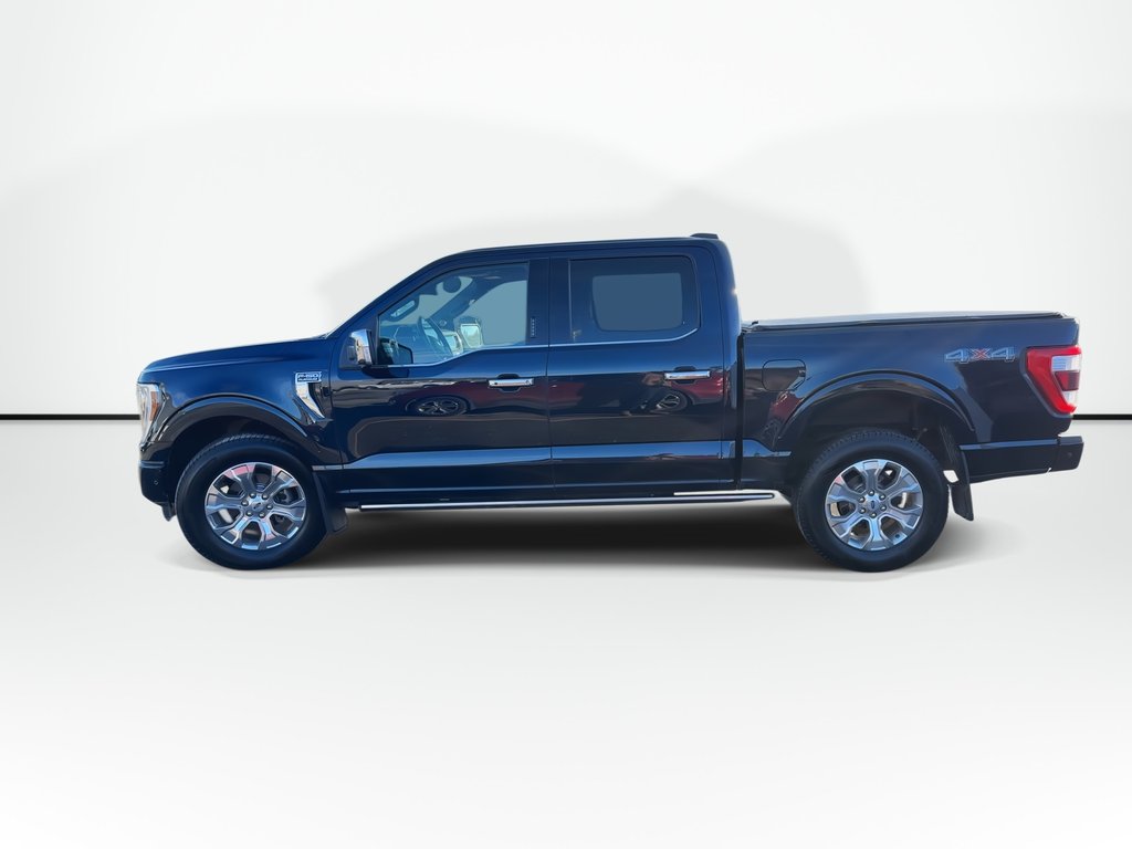 Ford F-150 Platinum | Roof | Lthr | Cam | Warranty to 2027 2022 à Saint John, Nouveau-Brunswick - 4 - w1024h768px