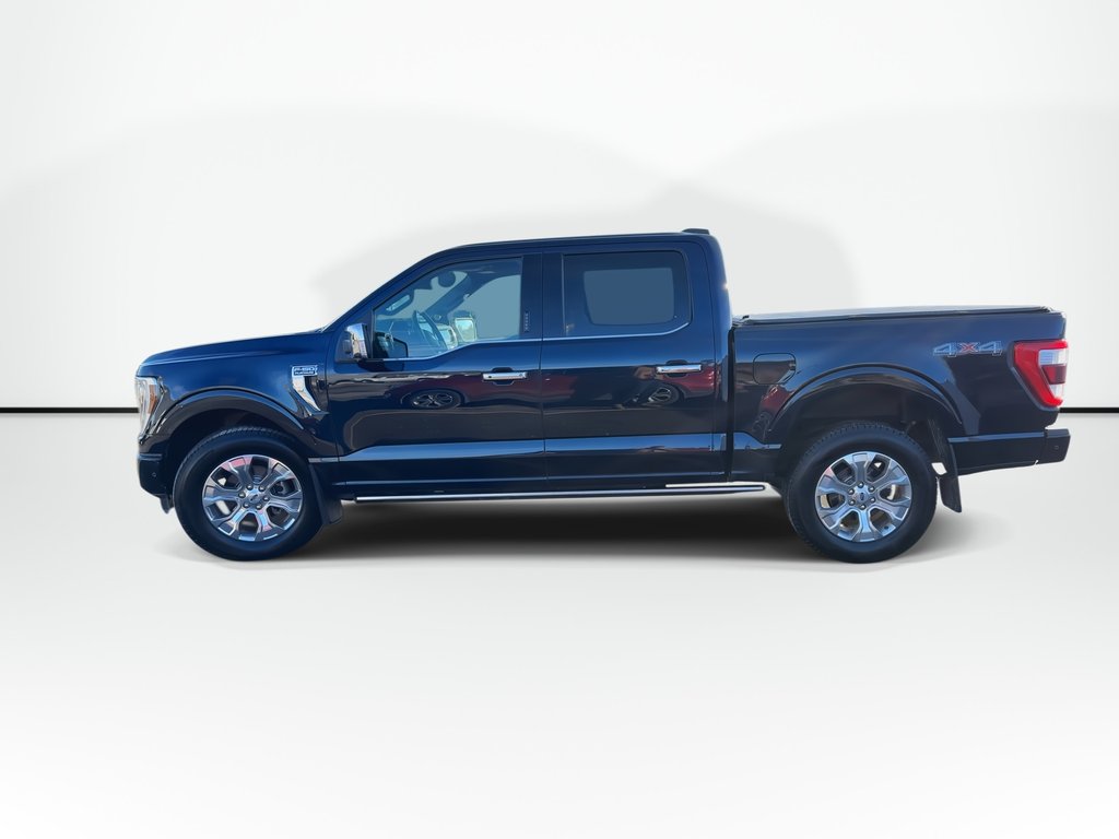 2022 Ford F-150 Platinum | Roof | Lthr | Cam | Warranty to 2027 in Saint John, New Brunswick - 4 - w1024h768px