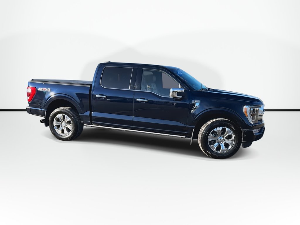 2022 Ford F-150 Platinum | Roof | Lthr | Cam | Warranty to 2027 in Saint John, New Brunswick - 8 - w1024h768px