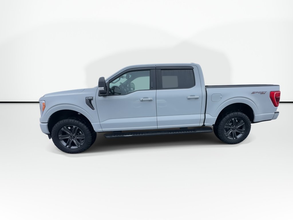 2023 Ford F-150 XLT | Cam | Bluetooth | Keyless | Warranty to 2028 in Saint John, New Brunswick - 9 - w1024h768px