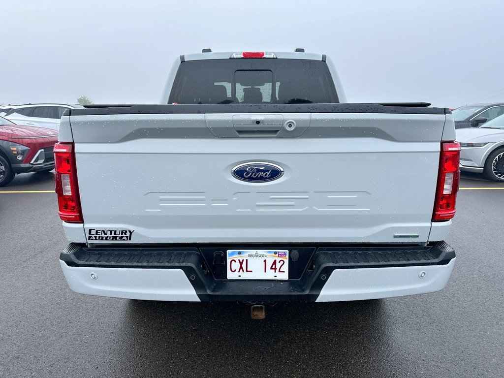 2023 Ford F-150 XLT | Cam | Bluetooth | Keyless | Warranty to 2028 in Saint John, New Brunswick - 36 - w1024h768px