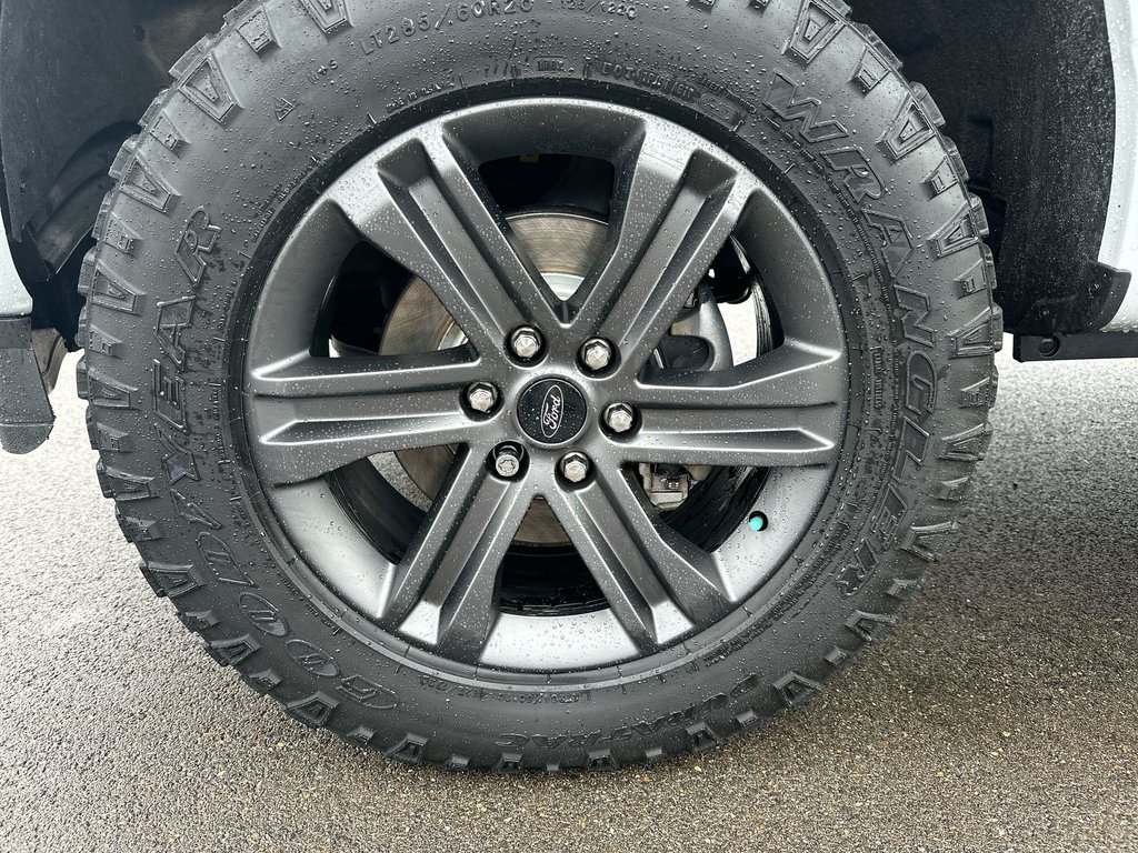 2023 Ford F-150 XLT | Cam | Bluetooth | Keyless | Warranty to 2028 in Saint John, New Brunswick - 10 - w1024h768px
