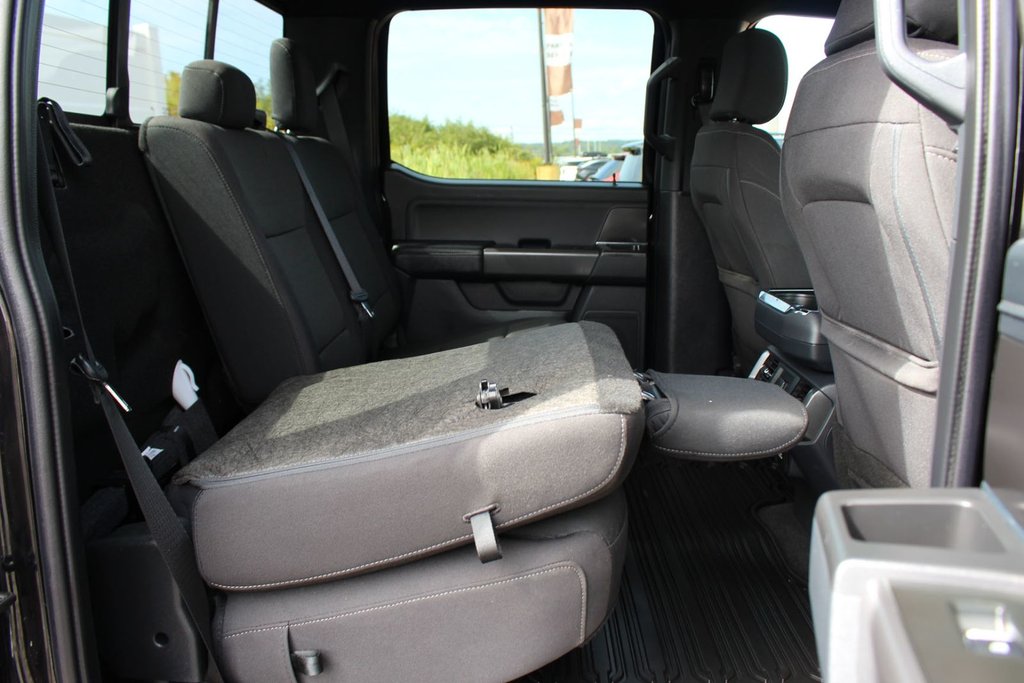 2024 Ford F-150 in Antigonish, Nova Scotia - 35 - w1024h768px