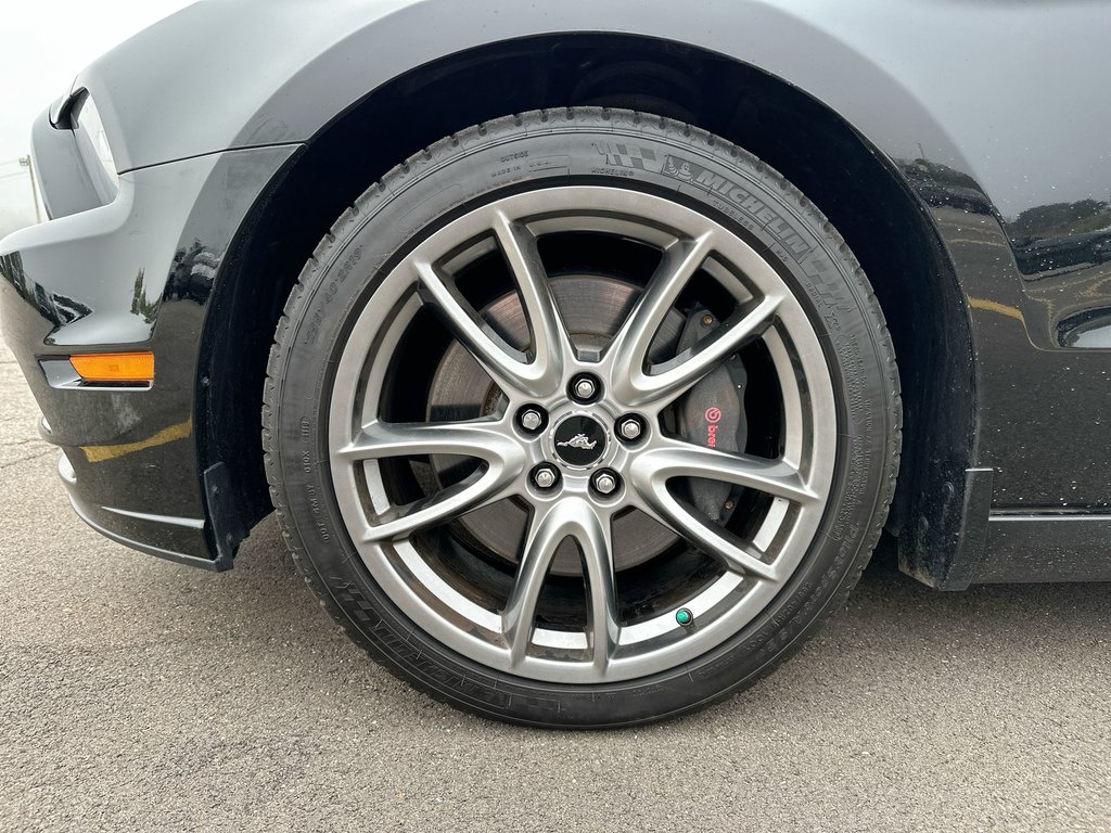 2014 Ford Mustang GT Convertible | Manual | 5L V8 | Leather | HtdSts in Saint John, New Brunswick - 10 - w1024h768px