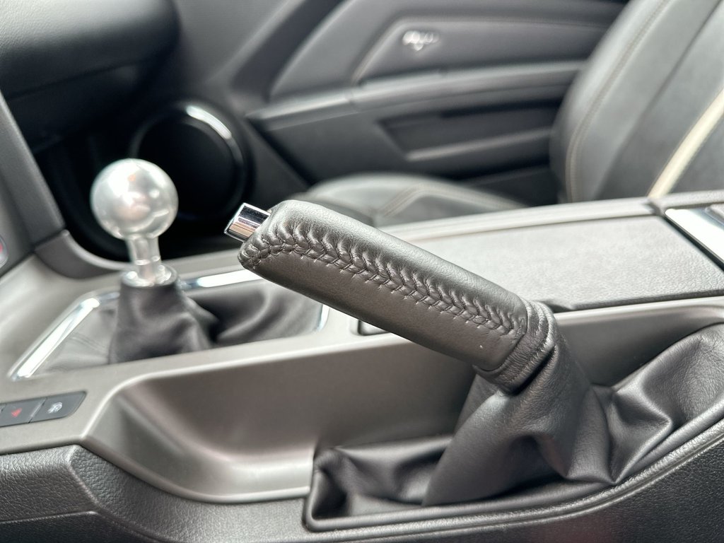2014 Ford Mustang GT Convertible | Manual | 5L V8 | Leather | HtdSts in Saint John, New Brunswick - 30 - w1024h768px