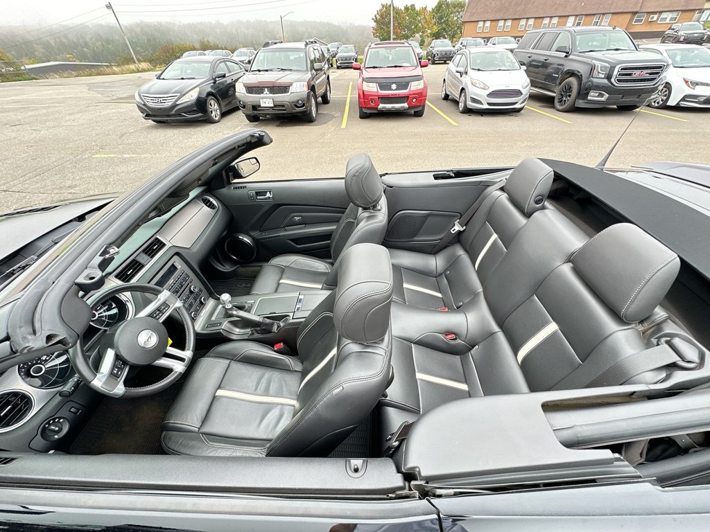 2014 Ford Mustang GT Convertible | Manual | 5L V8 | Leather | HtdSts in Saint John, New Brunswick - 50 - w1024h768px
