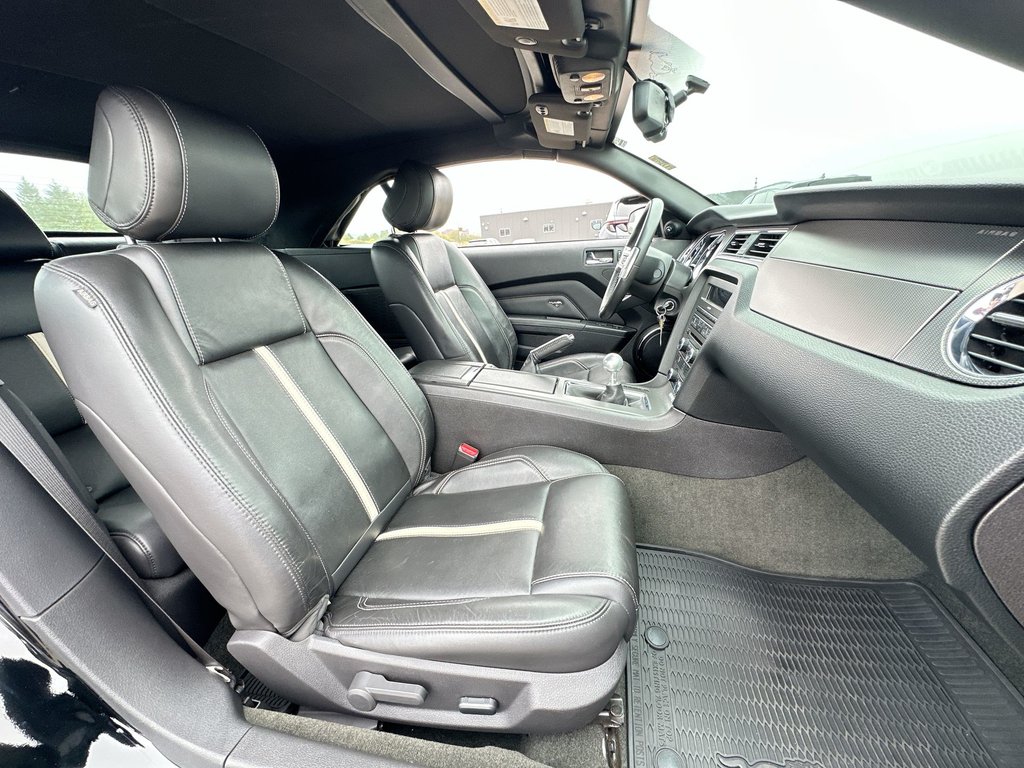 2014 Ford Mustang GT Convertible | Manual | 5L V8 | Leather | HtdSts in Saint John, New Brunswick - 42 - w1024h768px