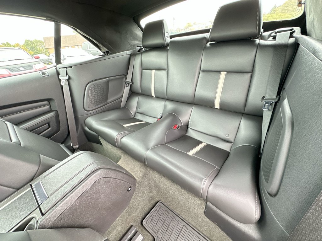 2014 Ford Mustang GT Convertible | Manual | 5L V8 | Leather | HtdSts in Saint John, New Brunswick - 33 - w1024h768px