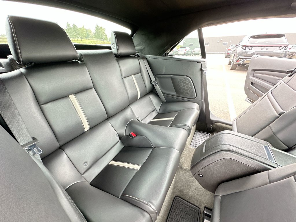 2014 Ford Mustang GT Convertible | Manual | 5L V8 | Leather | HtdSts in Saint John, New Brunswick - 39 - w1024h768px