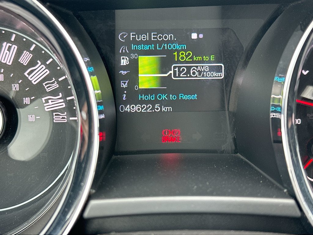 2014 Ford Mustang GT Convertible | Manual | 5L V8 | Leather | HtdSts in Saint John, New Brunswick - 23 - w1024h768px