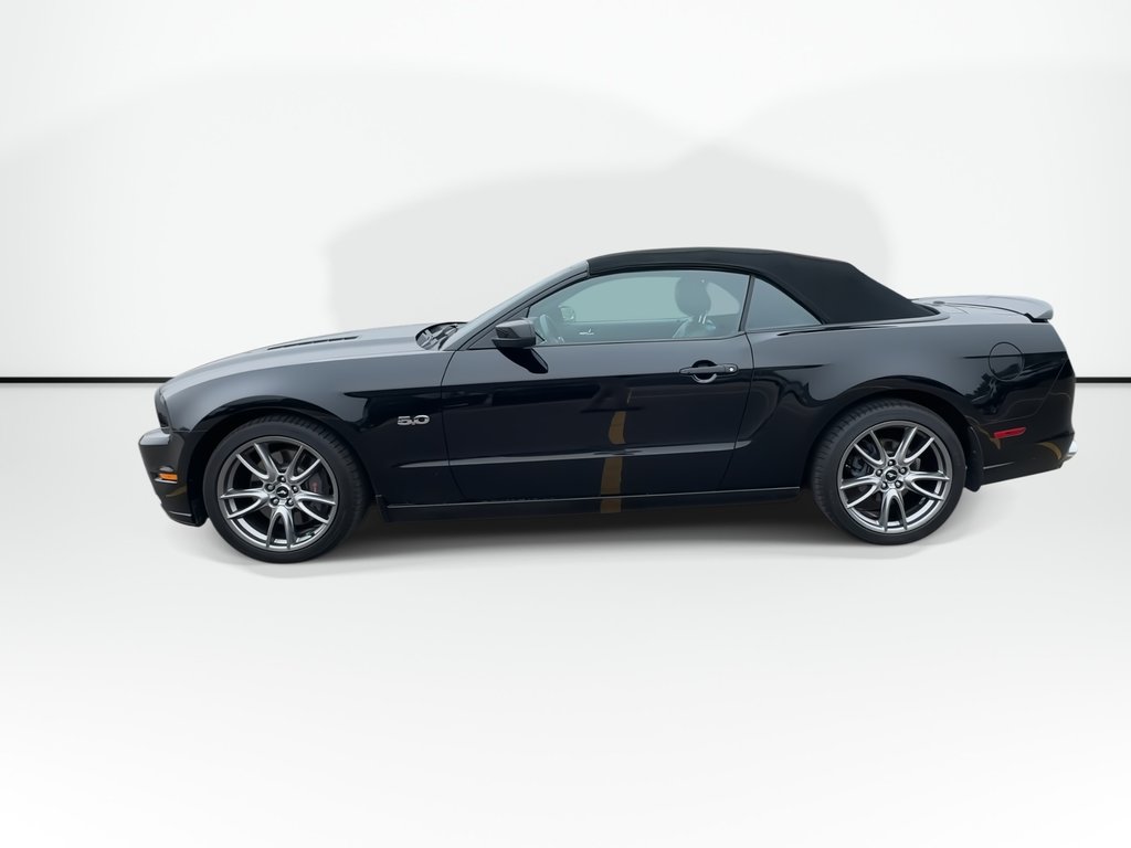 2014 Ford Mustang GT Convertible | Manual | 5L V8 | Leather | HtdSts in Saint John, New Brunswick - 7 - w1024h768px