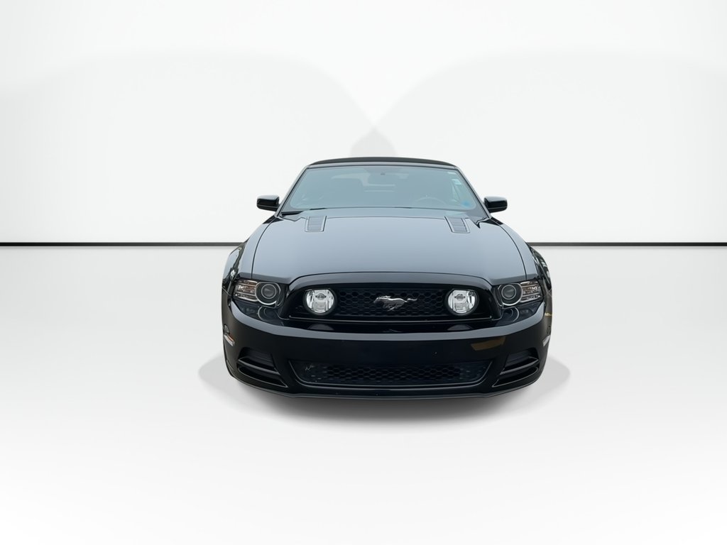 2014 Ford Mustang GT Convertible | Manual | 5L V8 | Leather | HtdSts in Saint John, New Brunswick - 5 - w1024h768px