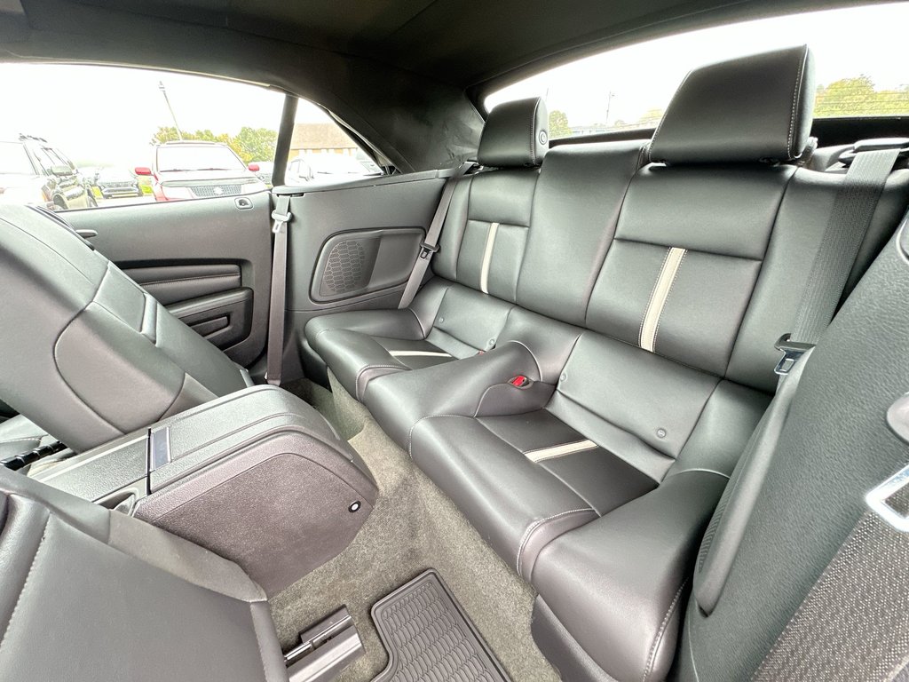 2014 Ford Mustang GT Convertible | Manual | 5L V8 | Leather | HtdSts in Saint John, New Brunswick - 32 - w1024h768px