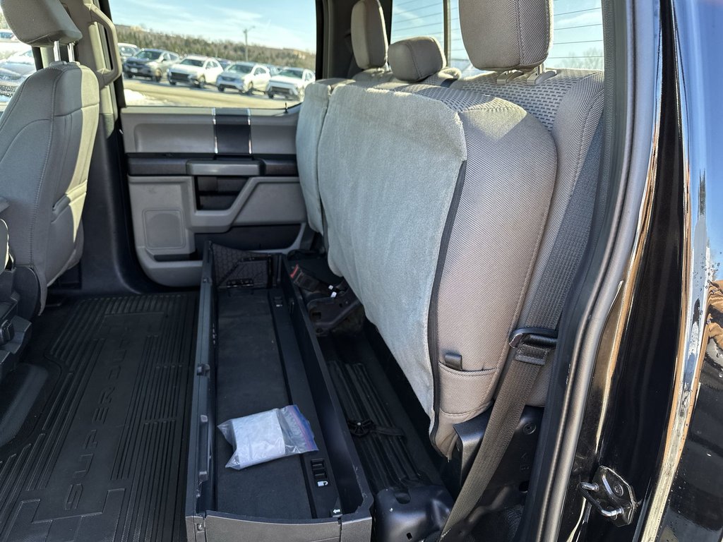 2022 Ford Super Duty F-250 SRW in Antigonish, Nova Scotia - 47 - w1024h768px