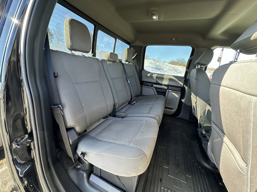 2022 Ford Super Duty F-250 SRW in Antigonish, Nova Scotia - 39 - w1024h768px