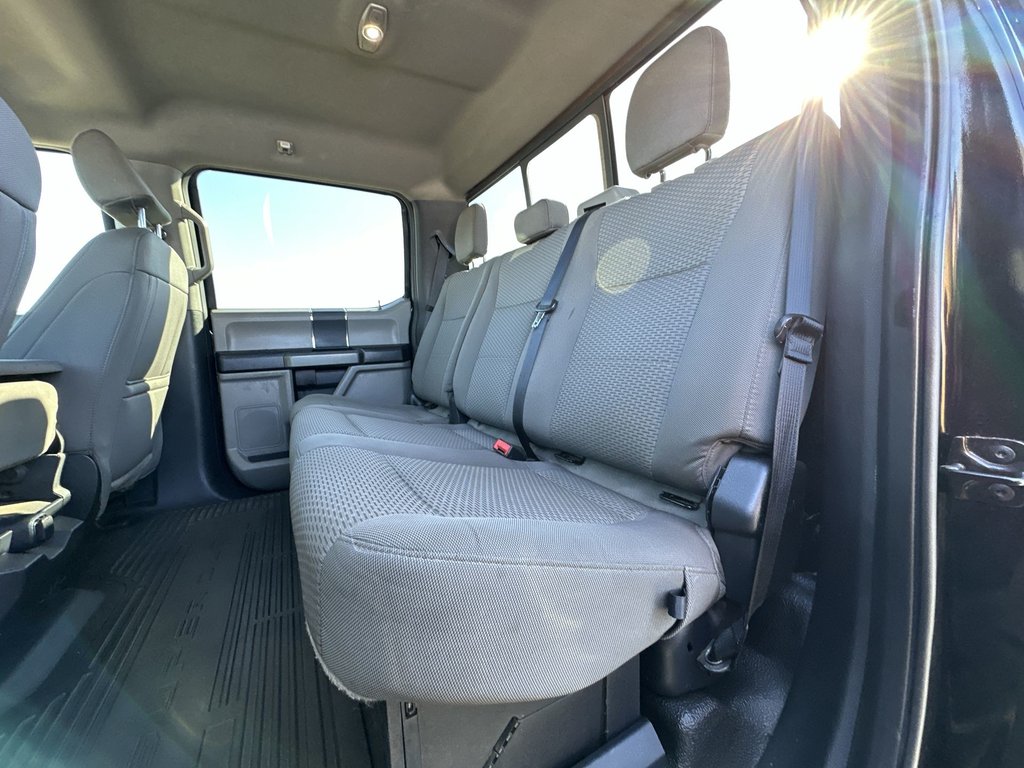 2022 Ford Super Duty F-250 SRW in Antigonish, Nova Scotia - 34 - w1024h768px