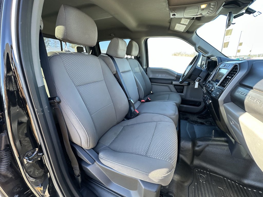 2022 Ford Super Duty F-250 SRW in Antigonish, Nova Scotia - 51 - w1024h768px