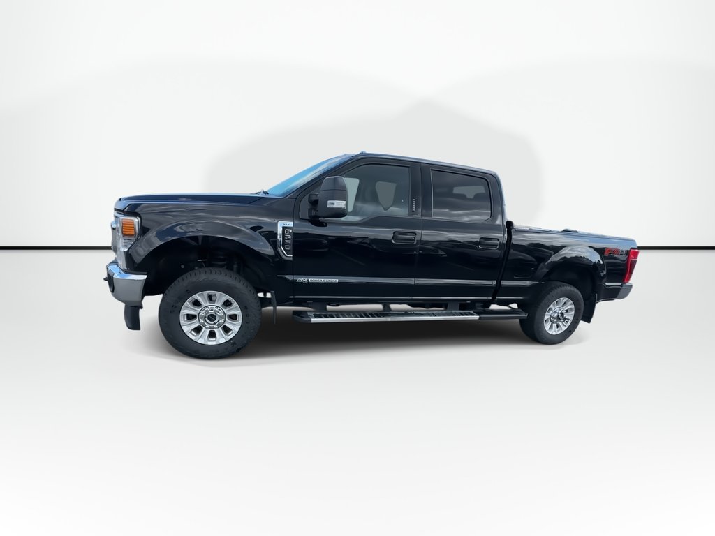 2022 Ford SUPER DUTY F-250 SRW in Antigonish, Nova Scotia - 4 - w1024h768px