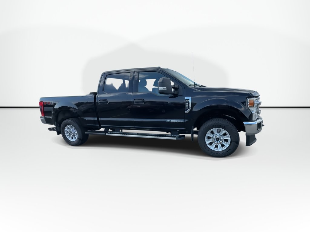2022 Ford SUPER DUTY F-250 SRW in Antigonish, Nova Scotia - 9 - w1024h768px