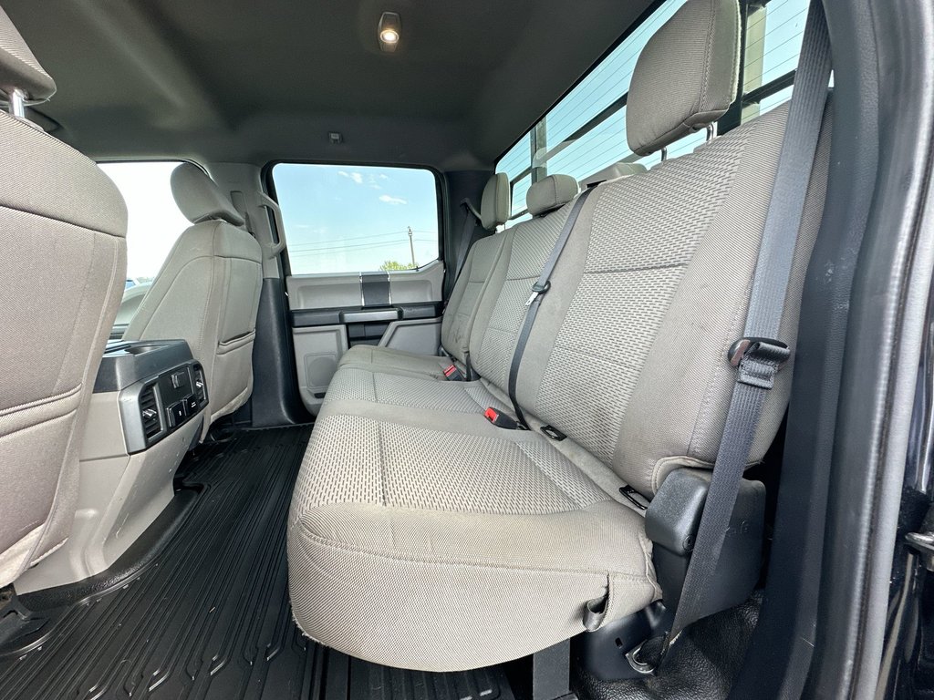 2022 Ford SUPER DUTY F-250 SRW in Antigonish, Nova Scotia - 34 - w1024h768px
