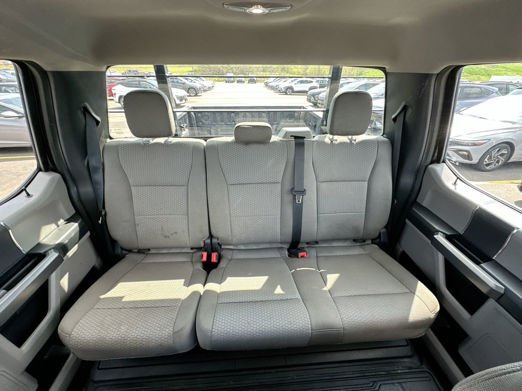 2022 Ford SUPER DUTY F-250 SRW in Antigonish, Nova Scotia - 52 - w1024h768px