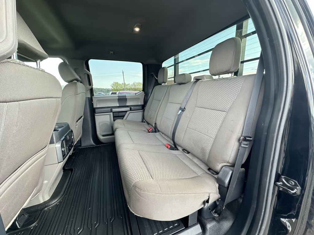 2022 Ford SUPER DUTY F-250 SRW in Antigonish, Nova Scotia - 33 - w1024h768px