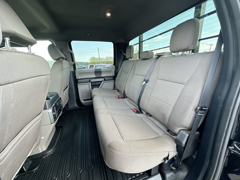 2022 Ford SUPER DUTY F-250 SRW in Antigonish, Nova Scotia - 32 - w1024h768px
