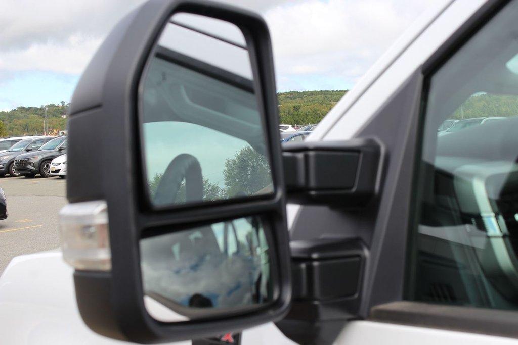 2025 Ford Super Duty F-250 SRW in Antigonish, Nova Scotia - 44 - w1024h768px