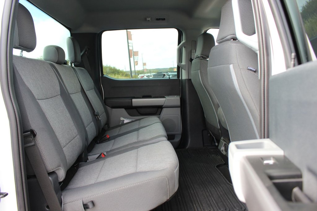 2025 Ford Super Duty F-250 SRW in Antigonish, Nova Scotia - 28 - w1024h768px