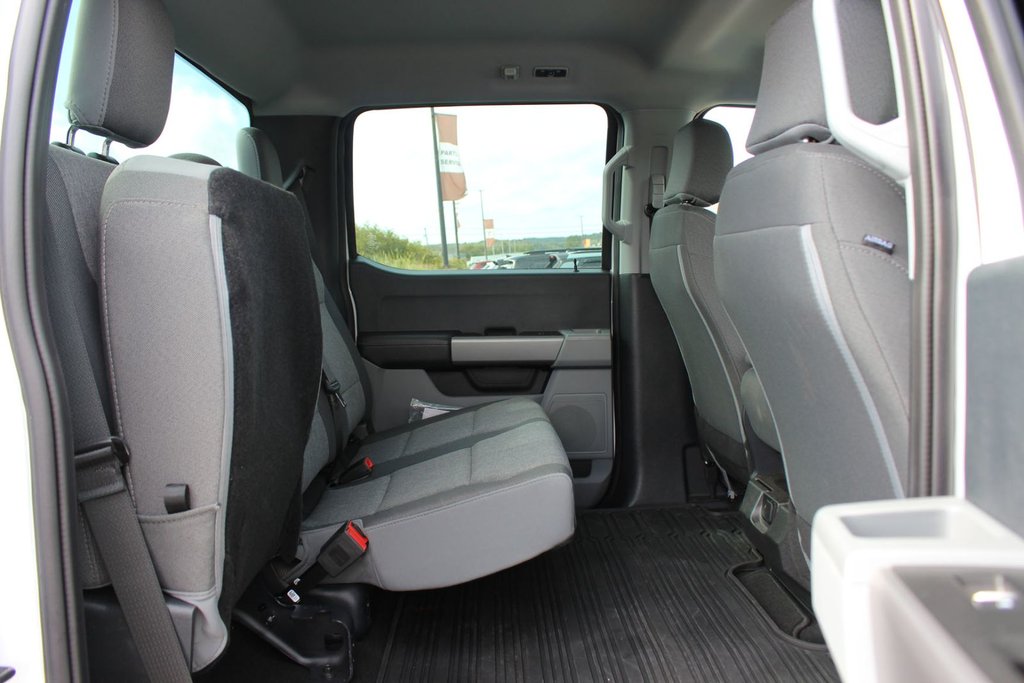 2025 Ford Super Duty F-250 SRW in Antigonish, Nova Scotia - 27 - w1024h768px