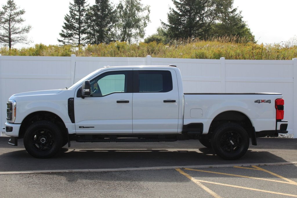 2025 Ford Super Duty F-250 SRW in Antigonish, Nova Scotia - 38 - w1024h768px