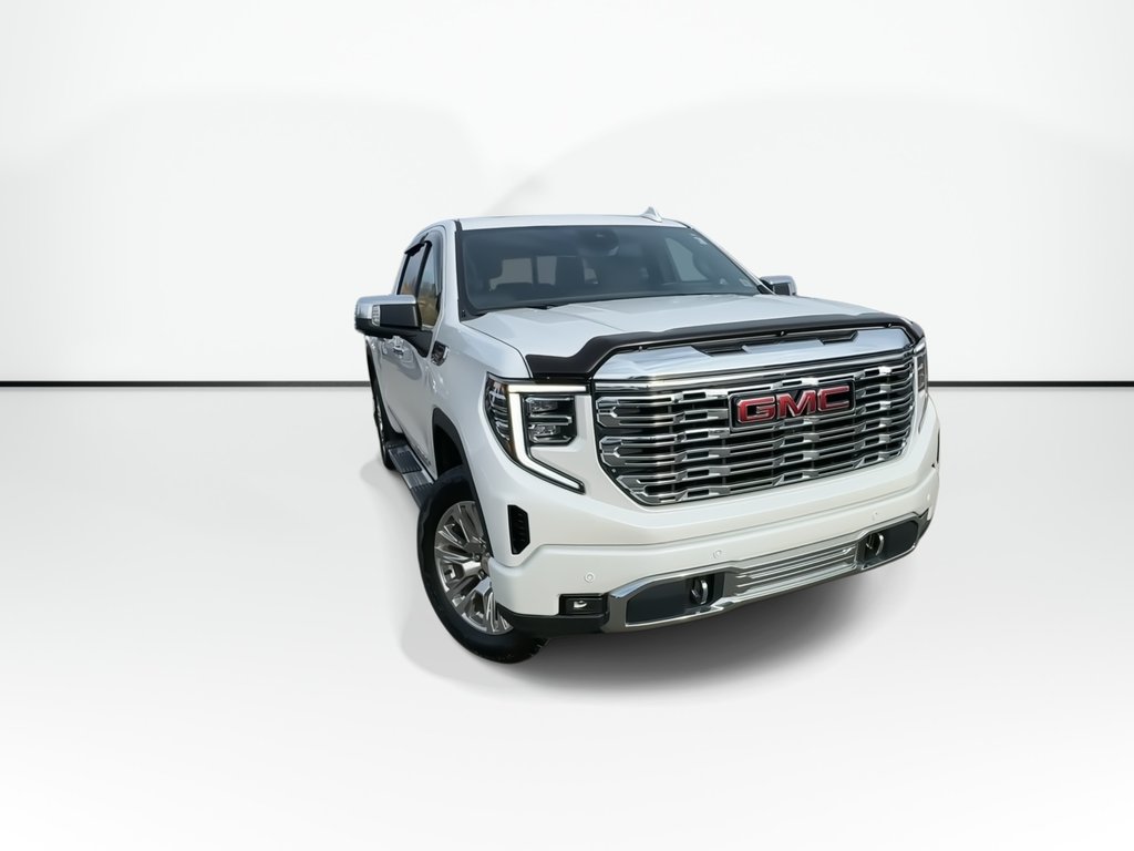 2025 GMC Sierra 1500 Denali | Lthr | Roof | HtdSeats | Warranty to 2029 in Saint John, New Brunswick - 2 - w1024h768px