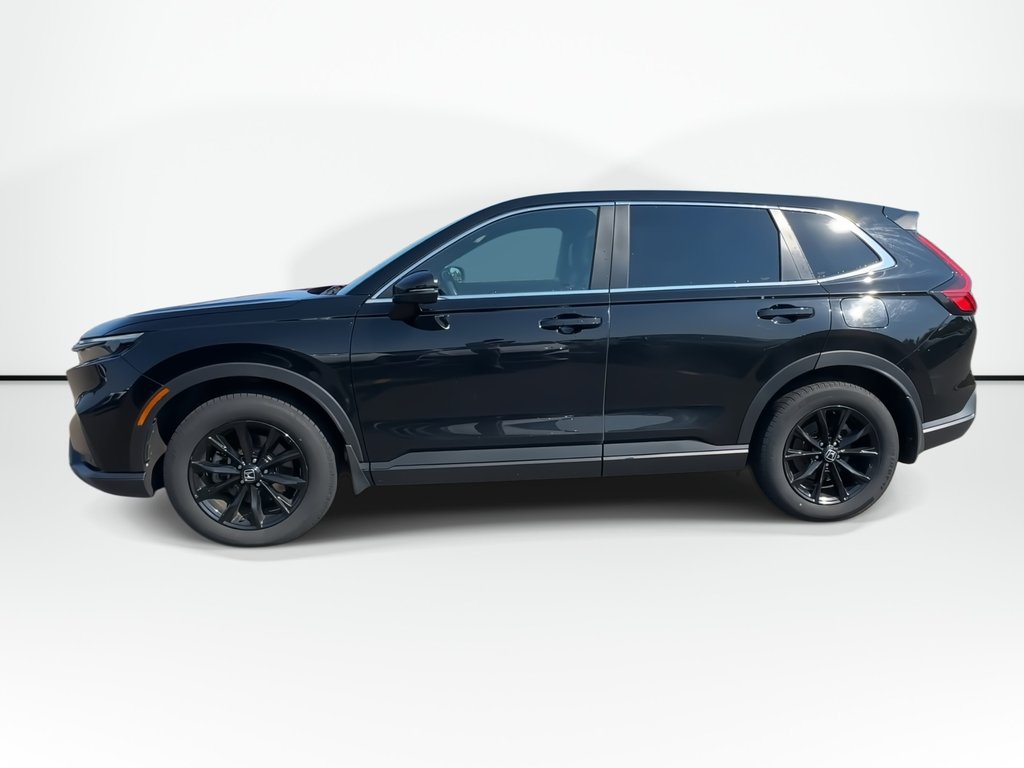2024 Honda CR-V HYBRID EX-L | Lthr | Roof | Cam | Warranty to 2028 in Saint John, New Brunswick - 7 - w1024h768px