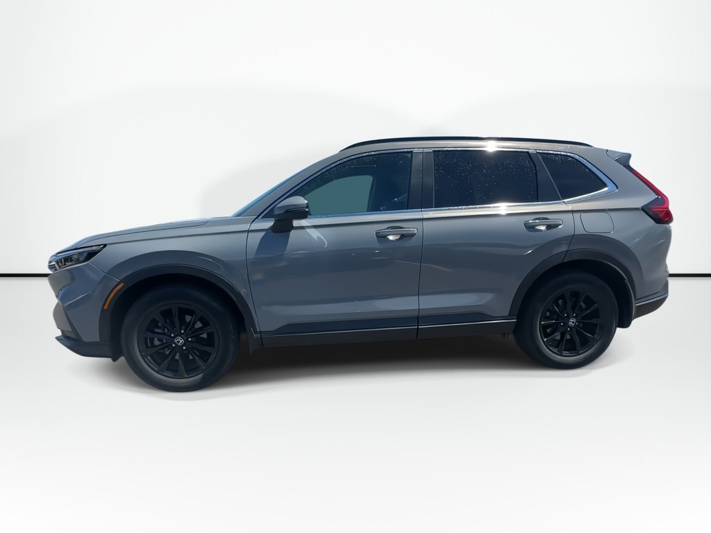 2024 Honda CR-V Sport | Roof | Htd Whl | Cam | Bluetooth | Keyless in Saint John, New Brunswick - 7 - w1024h768px