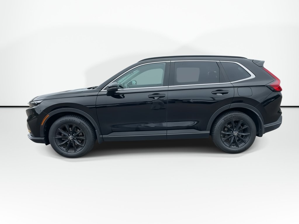 2024 Honda CR-V in Antigonish, Nova Scotia - 7 - w1024h768px