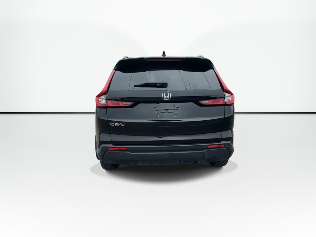2024 Honda CR-V in Antigonish, Nova Scotia - 9 - w1024h768px