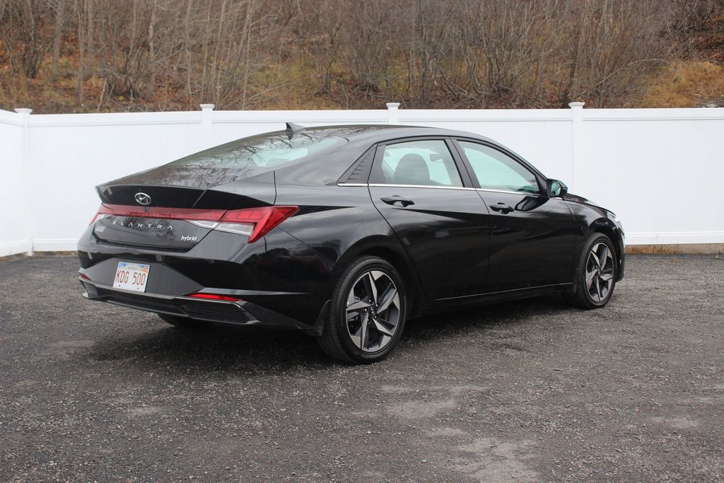 Elantra Hybrid Luxury | HEV | Leather | Roof | Warranty to 2031 2023 à Saint John, Nouveau-Brunswick - 7 - w1024h768px