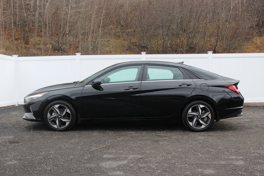 Elantra Hybrid Luxury | HEV | Leather | Roof | Warranty to 2031 2023 à Saint John, Nouveau-Brunswick - 4 - w1024h768px