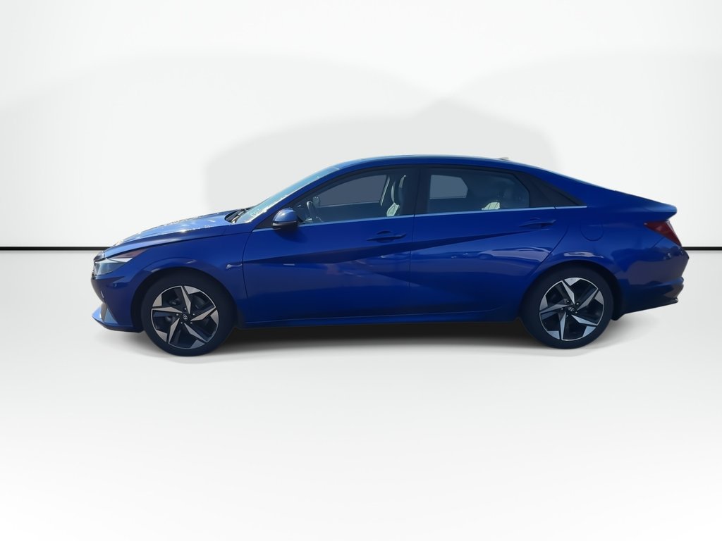 2023 Hyundai Elantra Hybrid Luxury | Roof | Leather | Bose | Warranty to 2028 in Saint John, New Brunswick - 7 - w1024h768px