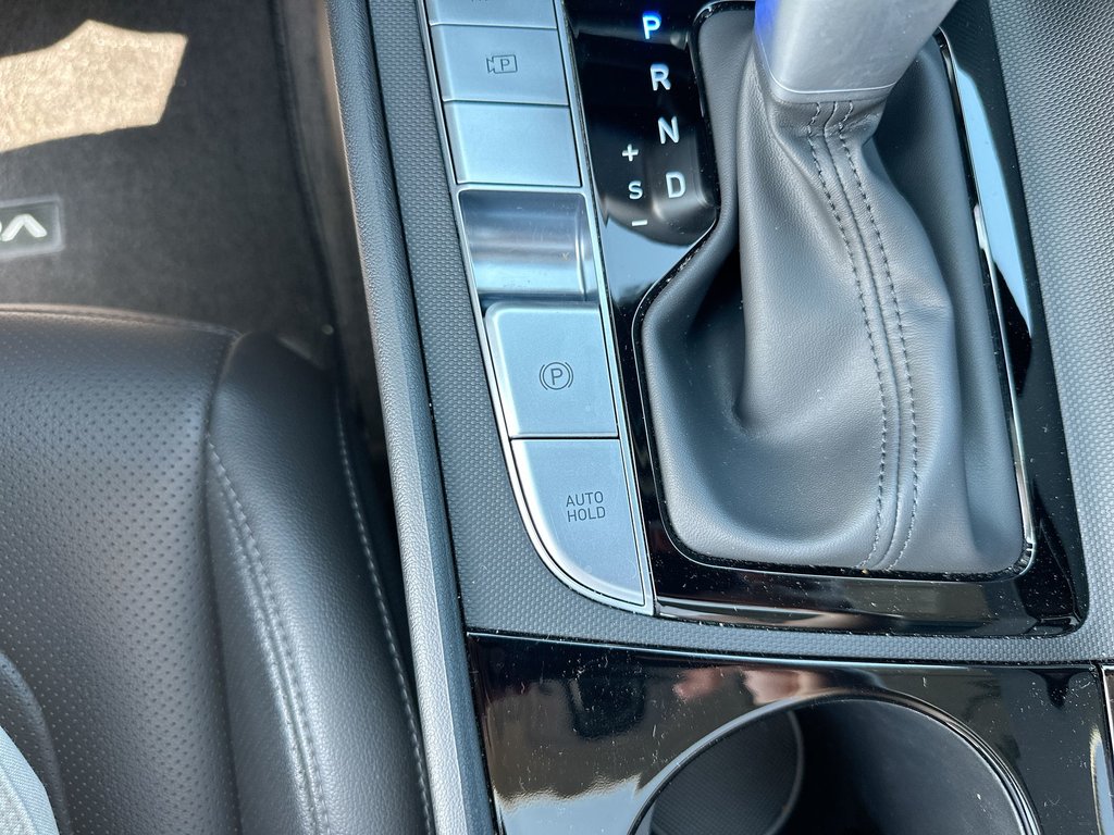 2025 Hyundai Elantra Hybrid Luxury | Leather | Nav | Roof | Warranty to 2033 in Saint John, New Brunswick - 30 - w1024h768px