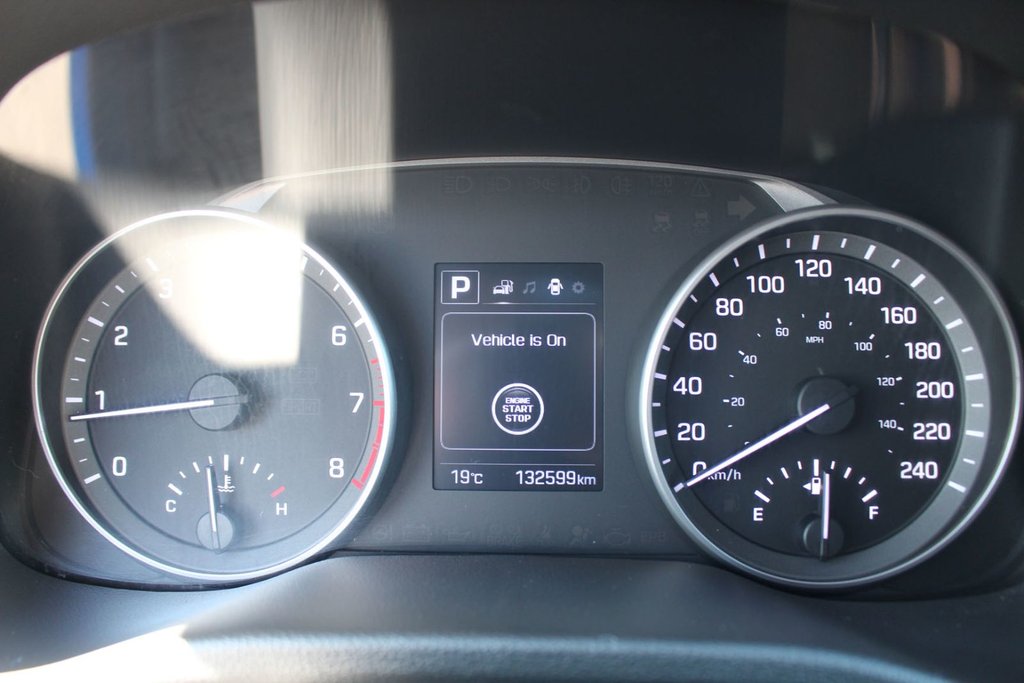 Hyundai Elantra GLS | SunRoof | HtdSeats | Cam | Bluetooth | Aux 2017 à Saint John, Nouveau-Brunswick - 12 - w1024h768px