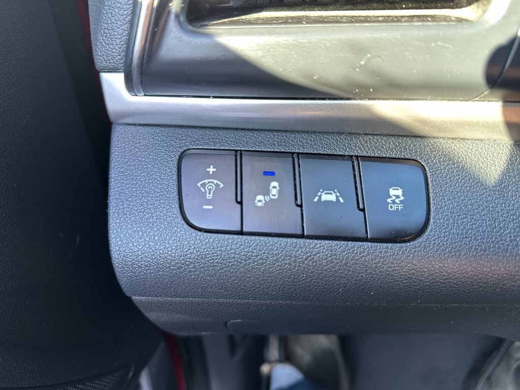 2019 Hyundai Elantra Luxury | Roof | Cam | HtdSeat | Lthr | Bluetooth in Saint John, New Brunswick - 22 - w1024h768px
