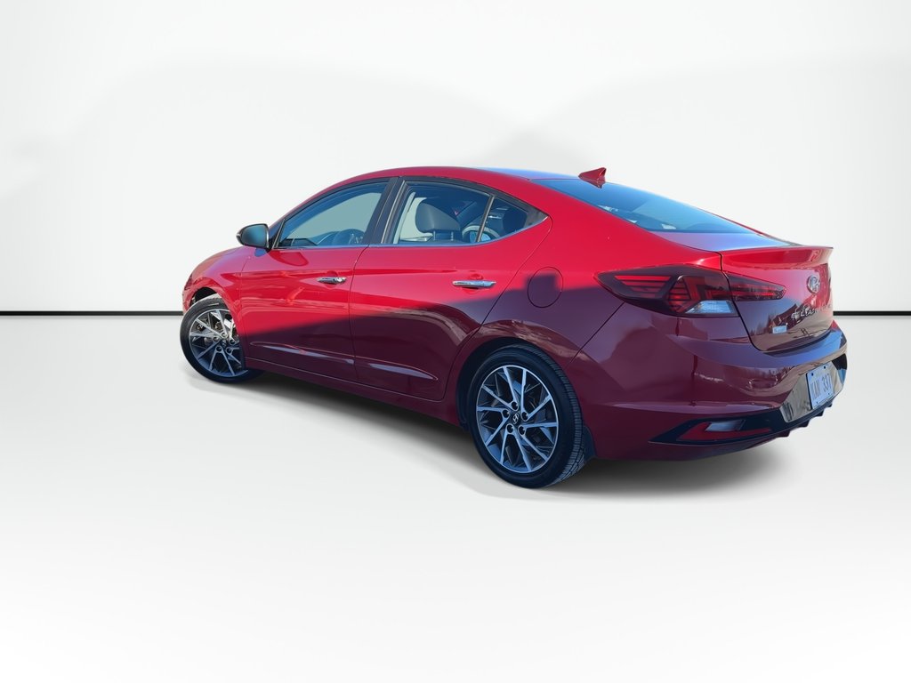 2019 Hyundai Elantra Luxury | Roof | Cam | HtdSeat | Lthr | Bluetooth in Saint John, New Brunswick - 6 - w1024h768px